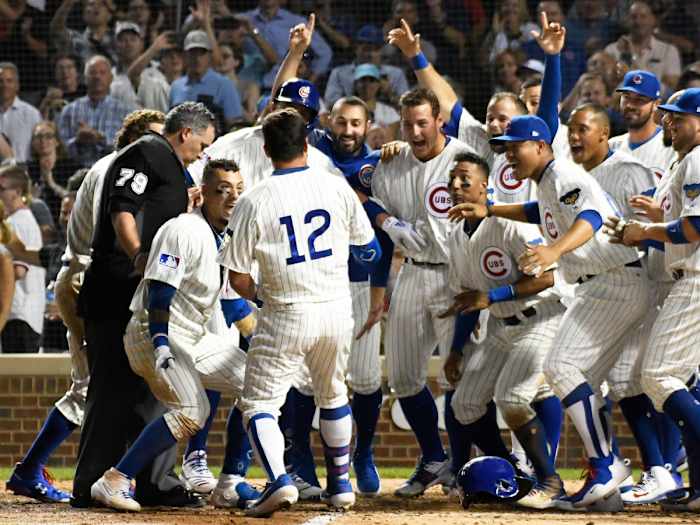 cubs-inline.jpg